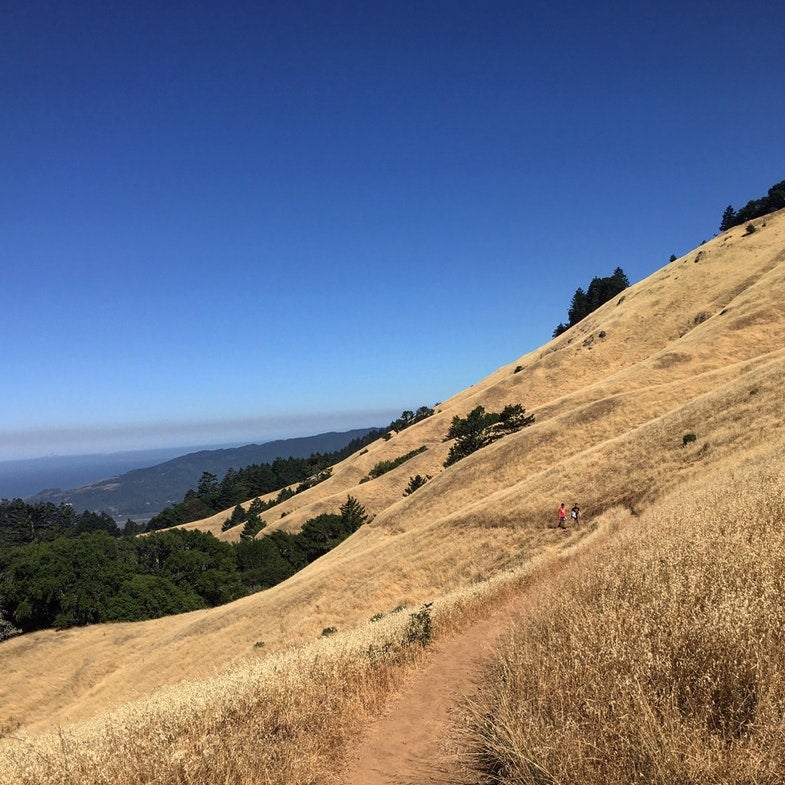 pantoll camping near Mount Tamalpais