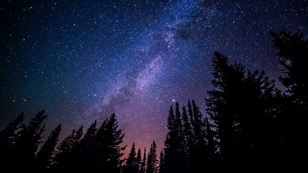 Perseid Meteor Shower and fir trees