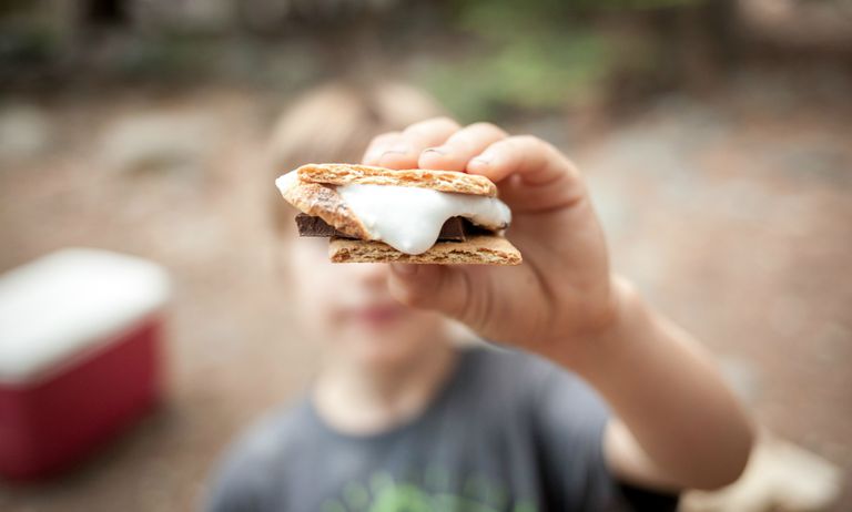 s'mores on a camping trip