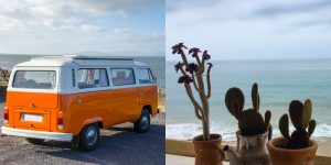 vanlife plants