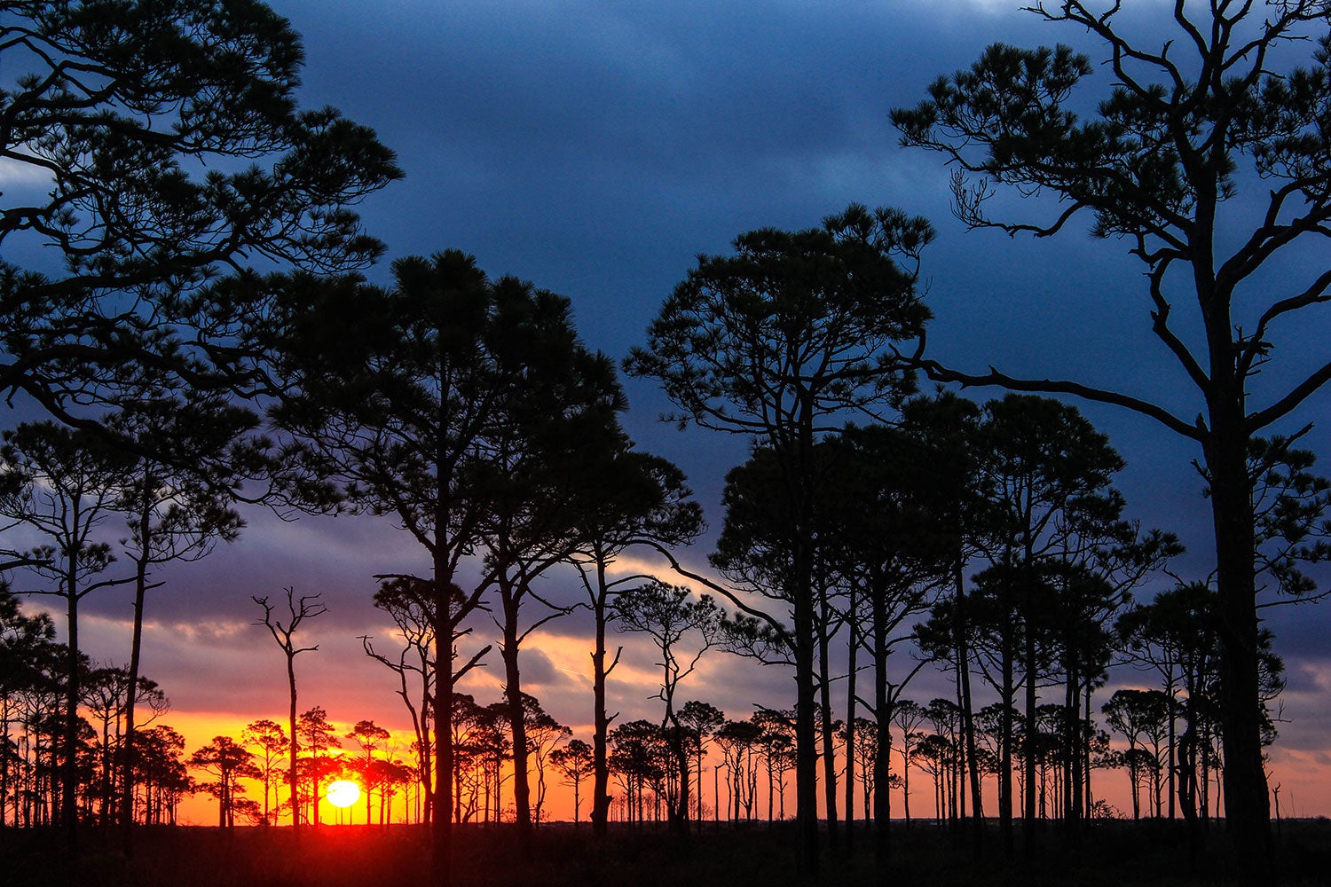 sea kayak camping in the everglades