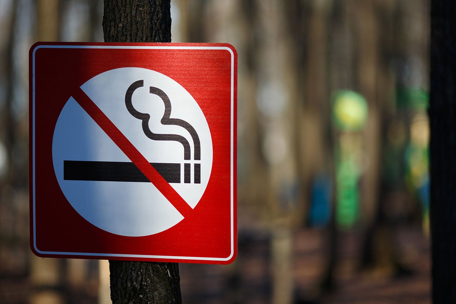 no smoking sign to avoid wildfire