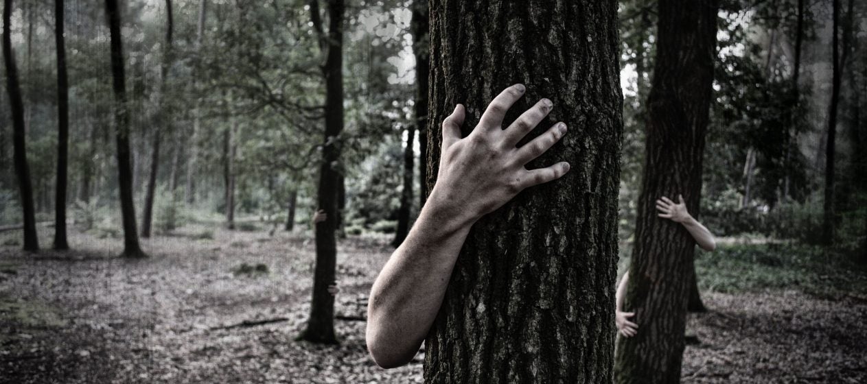 Top 10 Scary Forest Ranger Stories