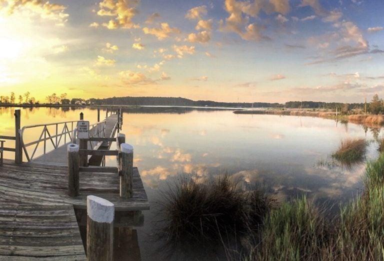 5 Campgrounds in Maryland That Campers Like You Love