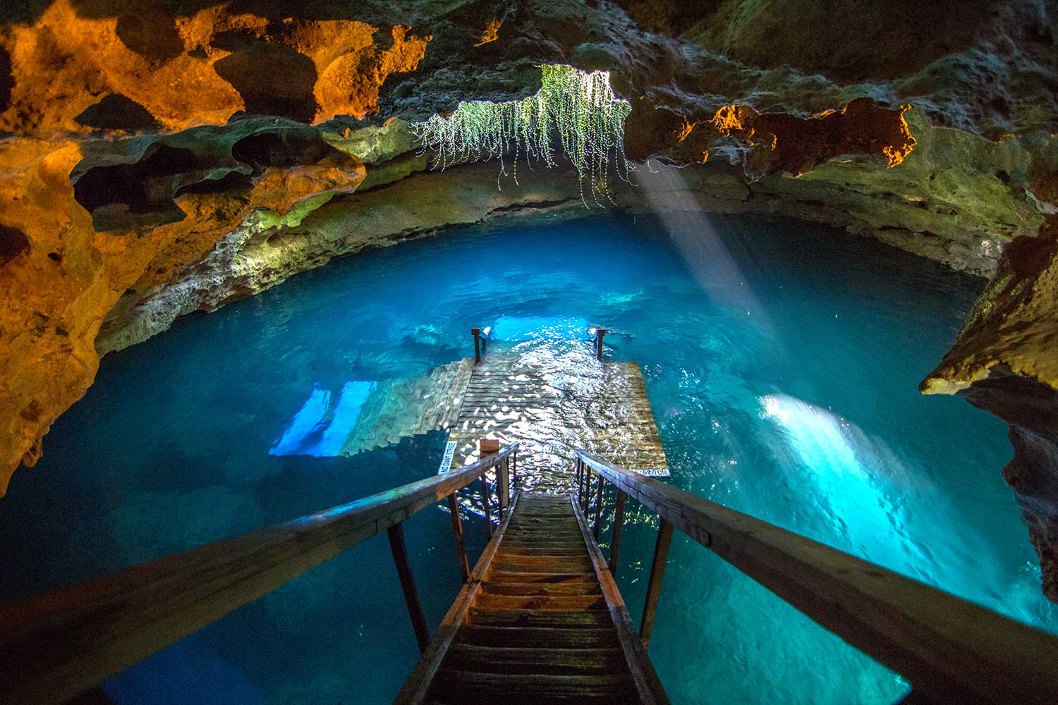 ancient sinkhole in the Devil's Den, Florida