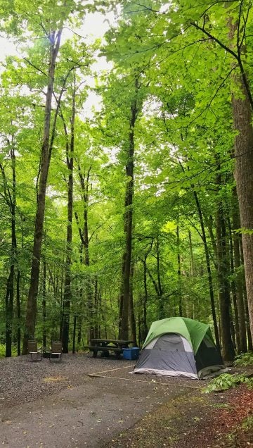 Campers Share Their 9 Favorite Campgrounds in North Carolina