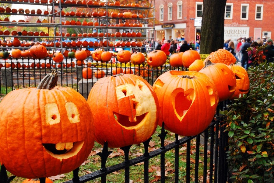 pumpkins arranged on a metal fence at a new hampshire pumpkin festival