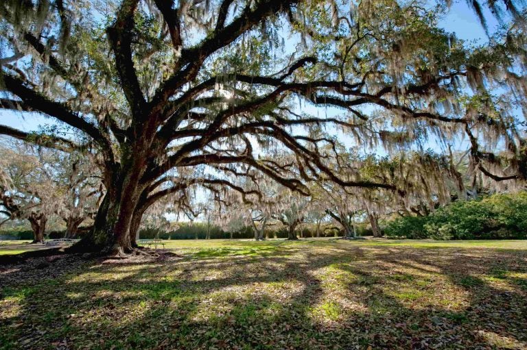 Camping in Hurricane Katrina's Affected Areas, 13 Years Later