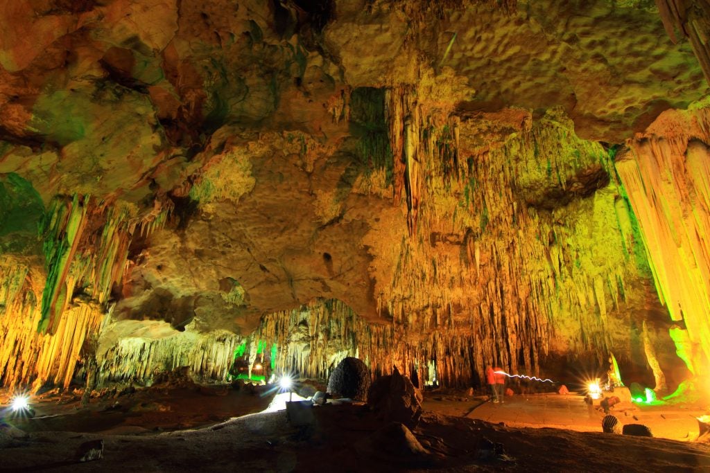 mythical beasts live in this underground cavern lit up by green lights