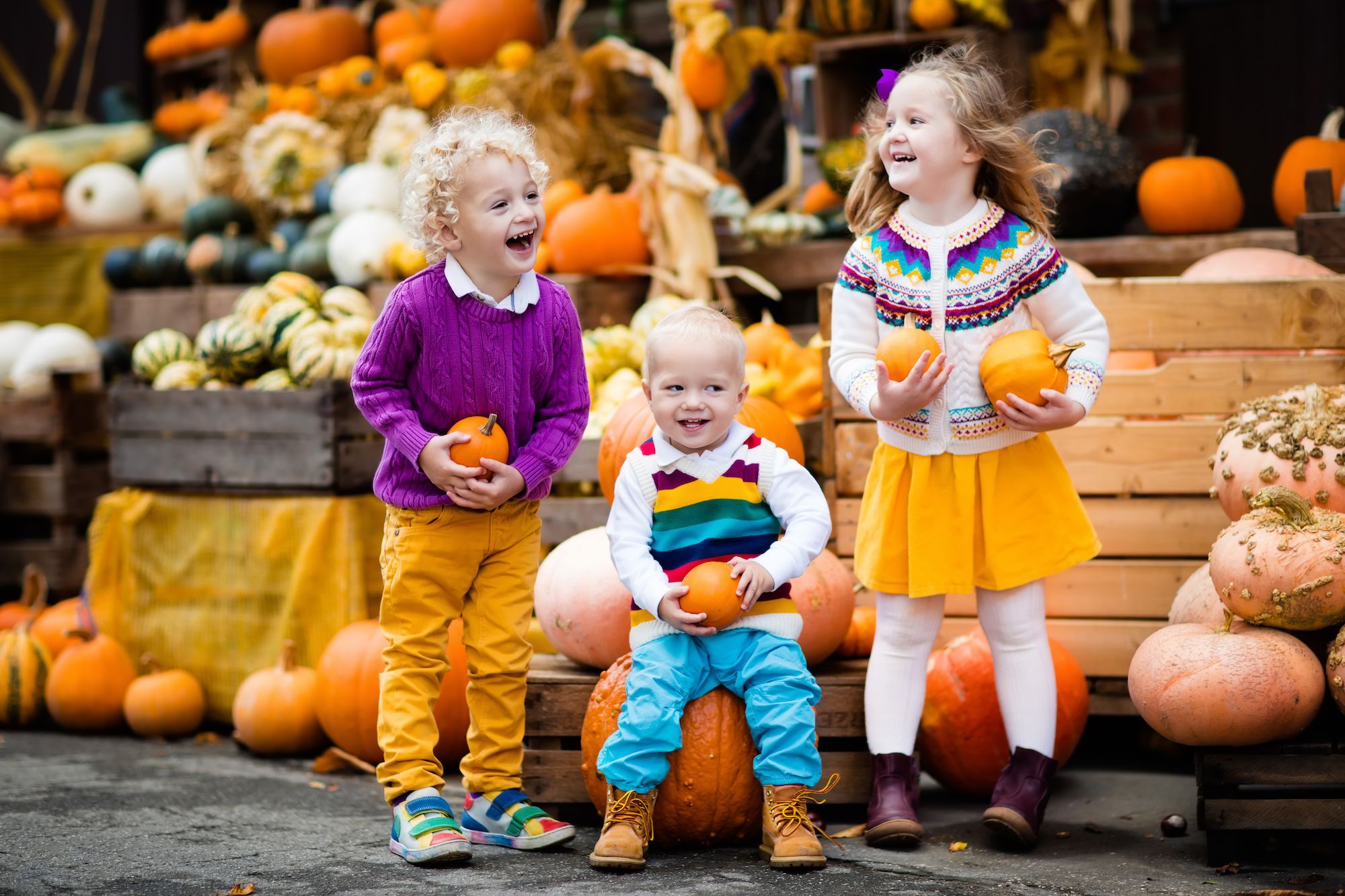 three young children pose for photos with pumpkins at a harvest festival