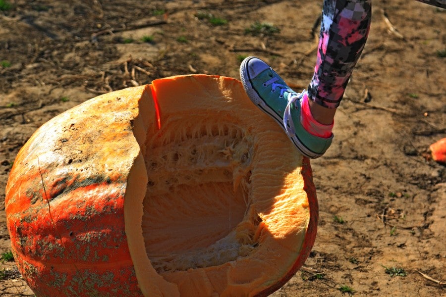 broken pumpkin at punkin chunkin festival