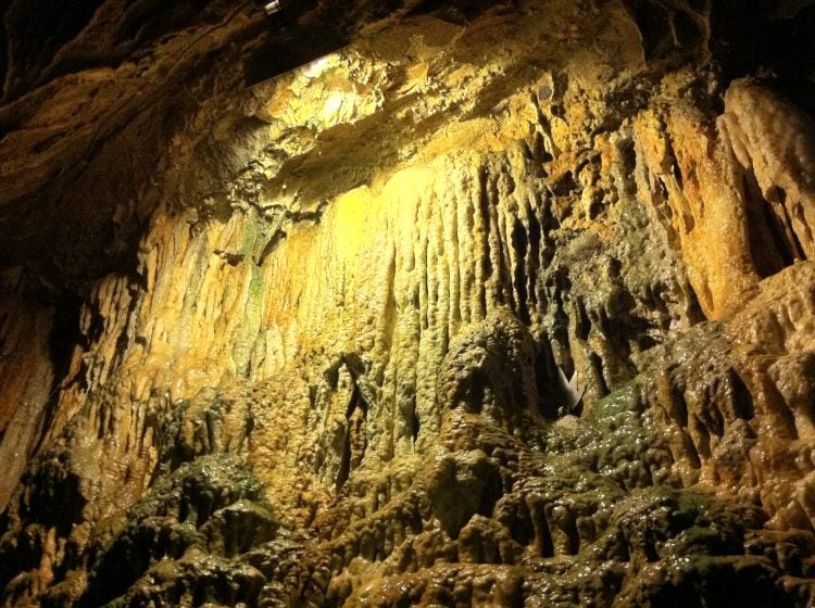 6 Magnificent Caves In Kentucky You Can Explore For Yourself   5804586660 Bf5b086d94 O 750x560 