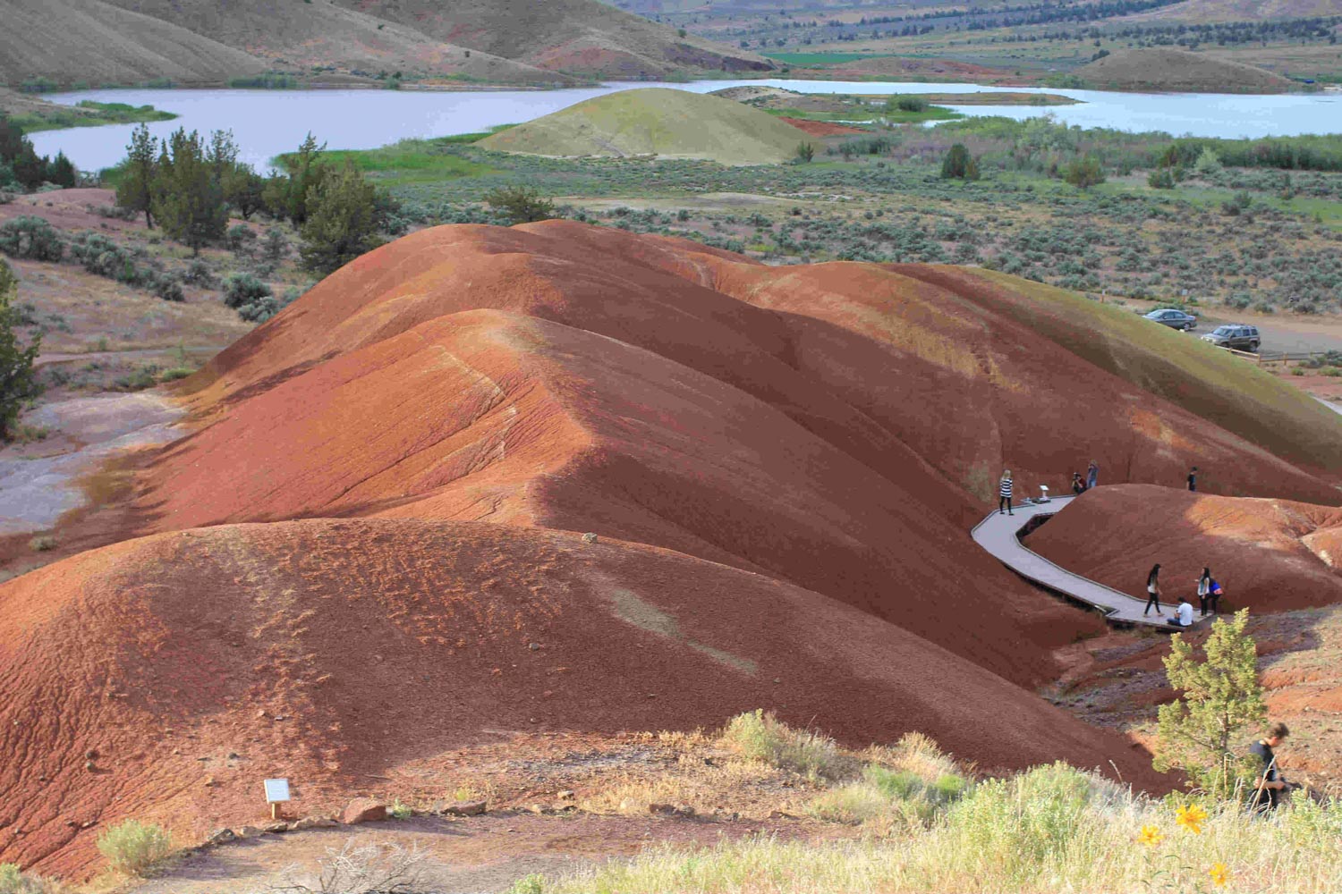 a boardwalks takes visitors through the painted hills in the john day fossil beds national monument