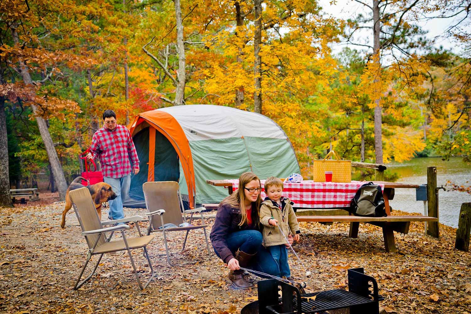 leaf-watch-helps-you-plan-georgia-camping-for-peak-color