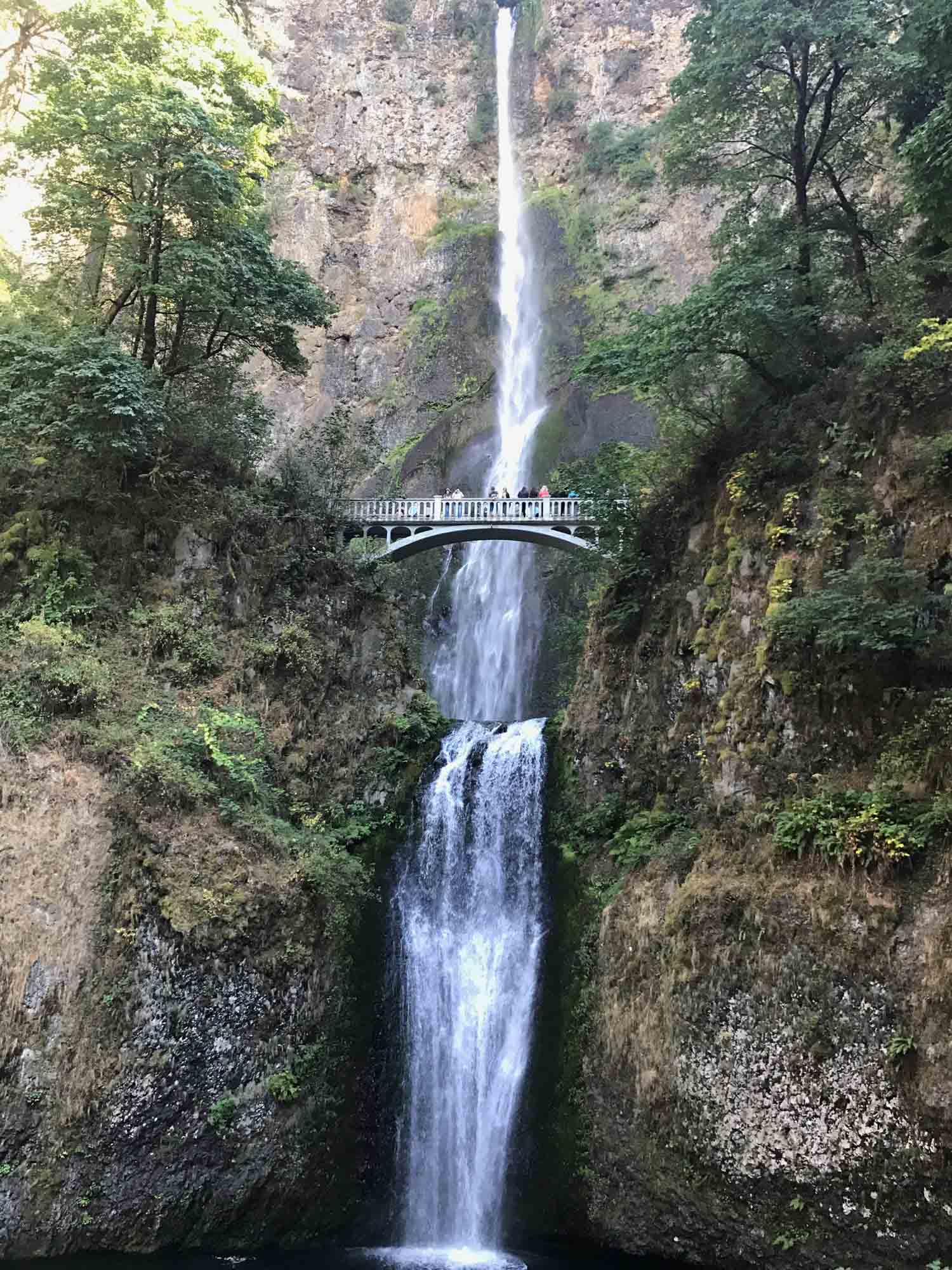 the famous multnomah falls flow from the top of a rock face with viewing bridge visible at the falls midpoint