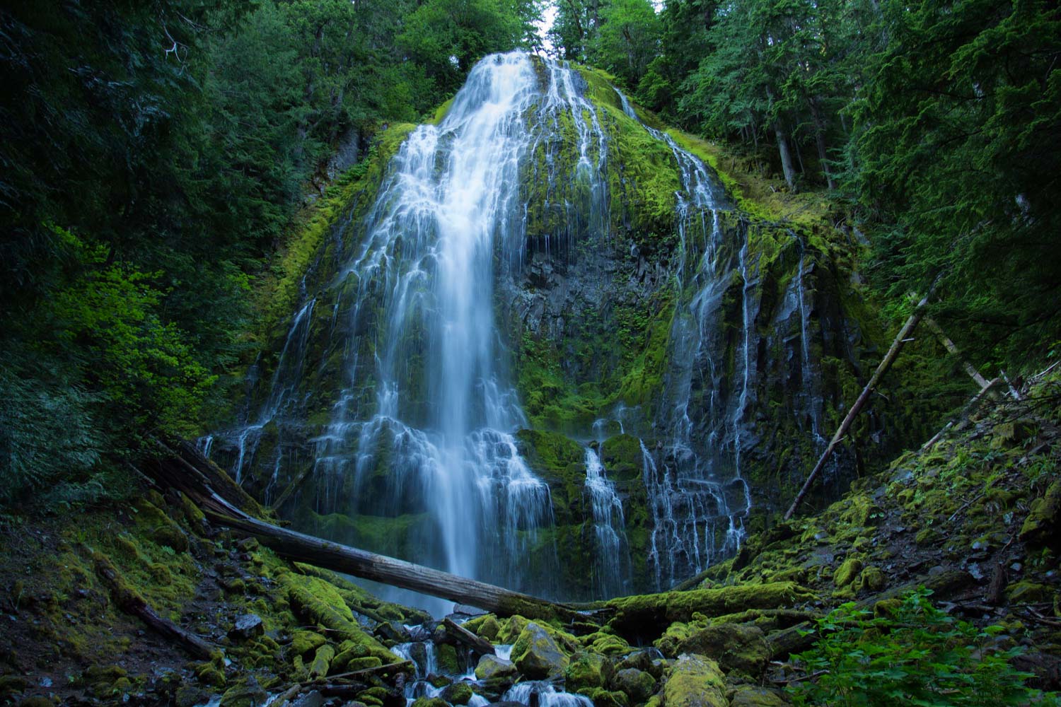 a stream of water cascades down a mossy rock face in a green forest