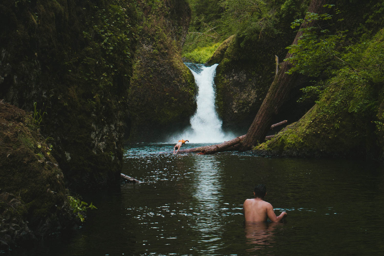 two people swim in a natural pool near a short cascading oregon waterfall