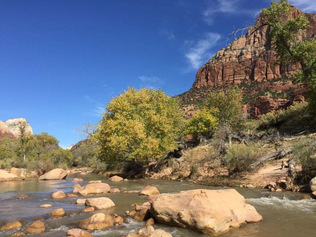 the virgin river, seen here flowing shallow near a rocky bank