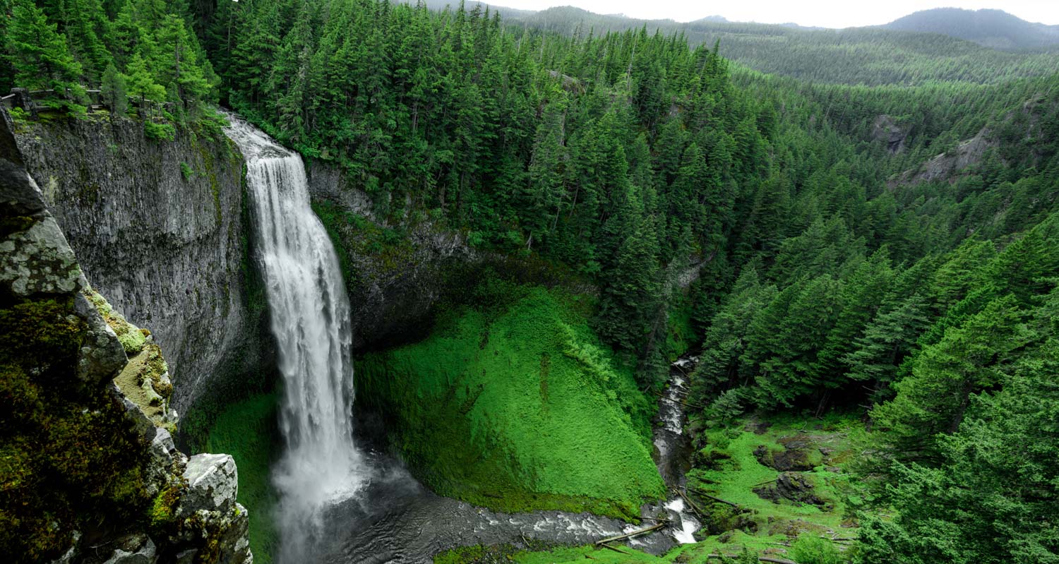 an aerial view of a tall waterfall surrounded by a green forest in Oregon