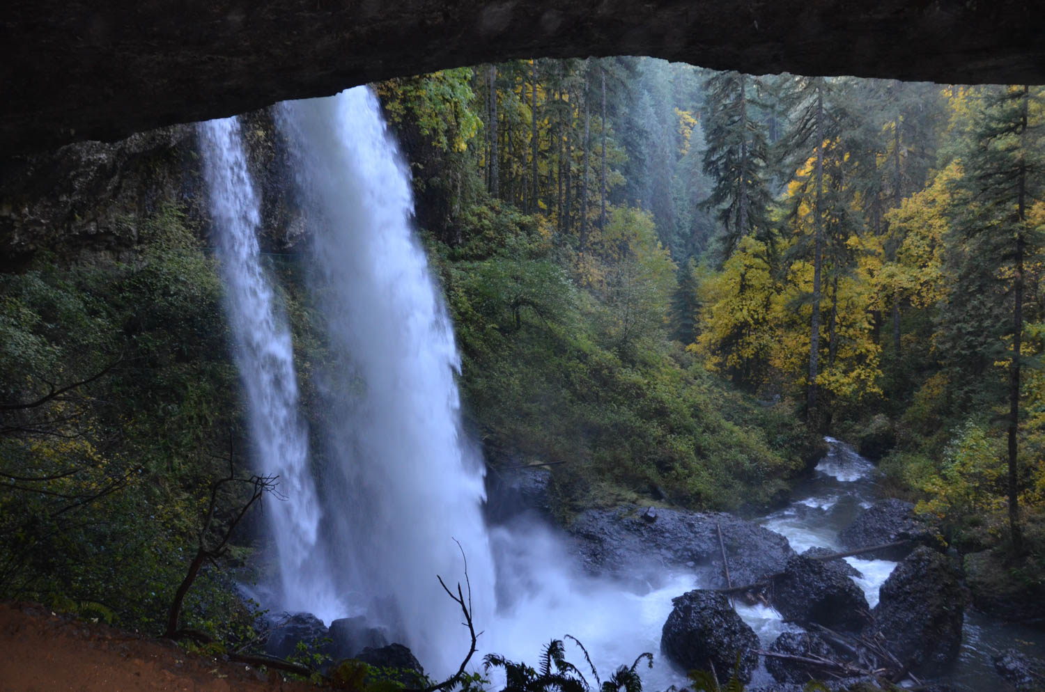 view from behind a waterfall at silver falls state park