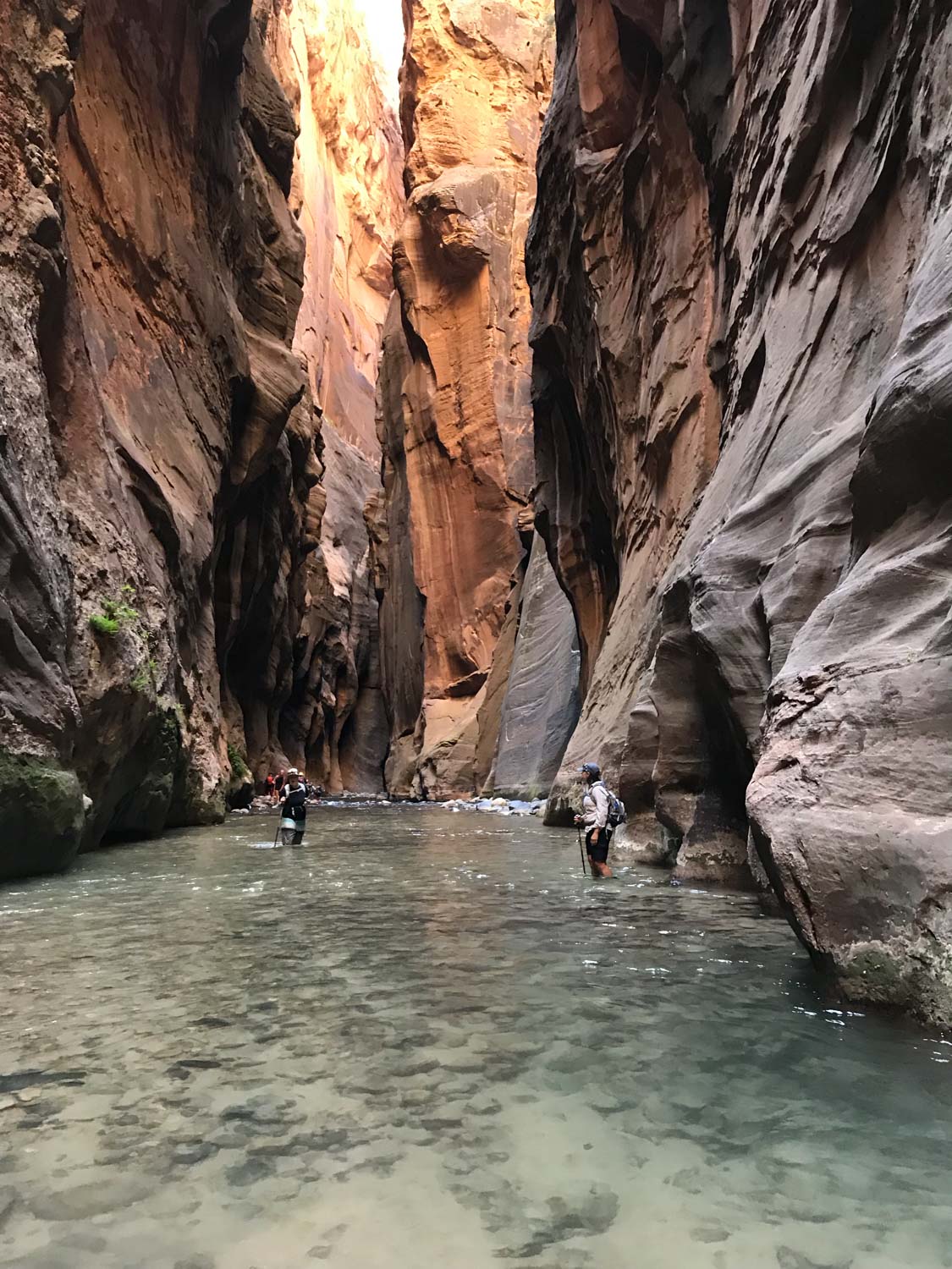 hikers traverse the virgin river in zion's narrows