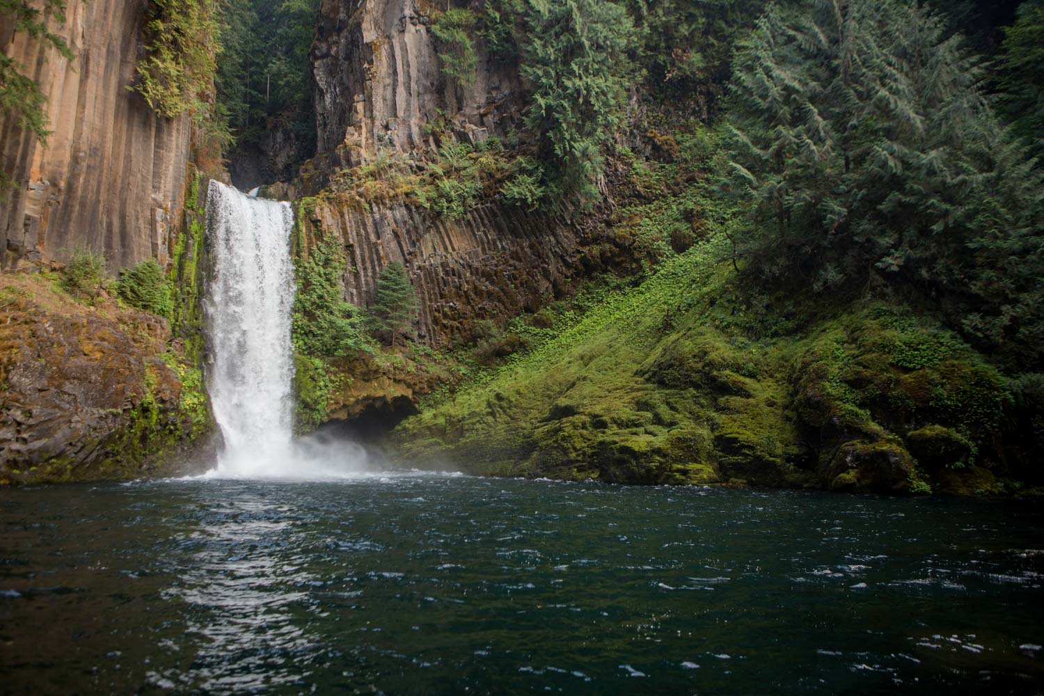 an oregon waterfall drops into a still pool from a steep rock face in a forest