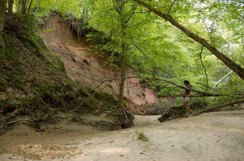 A woman hikes along a sandy creekbed in Tunica Hills Wildlife Management Area