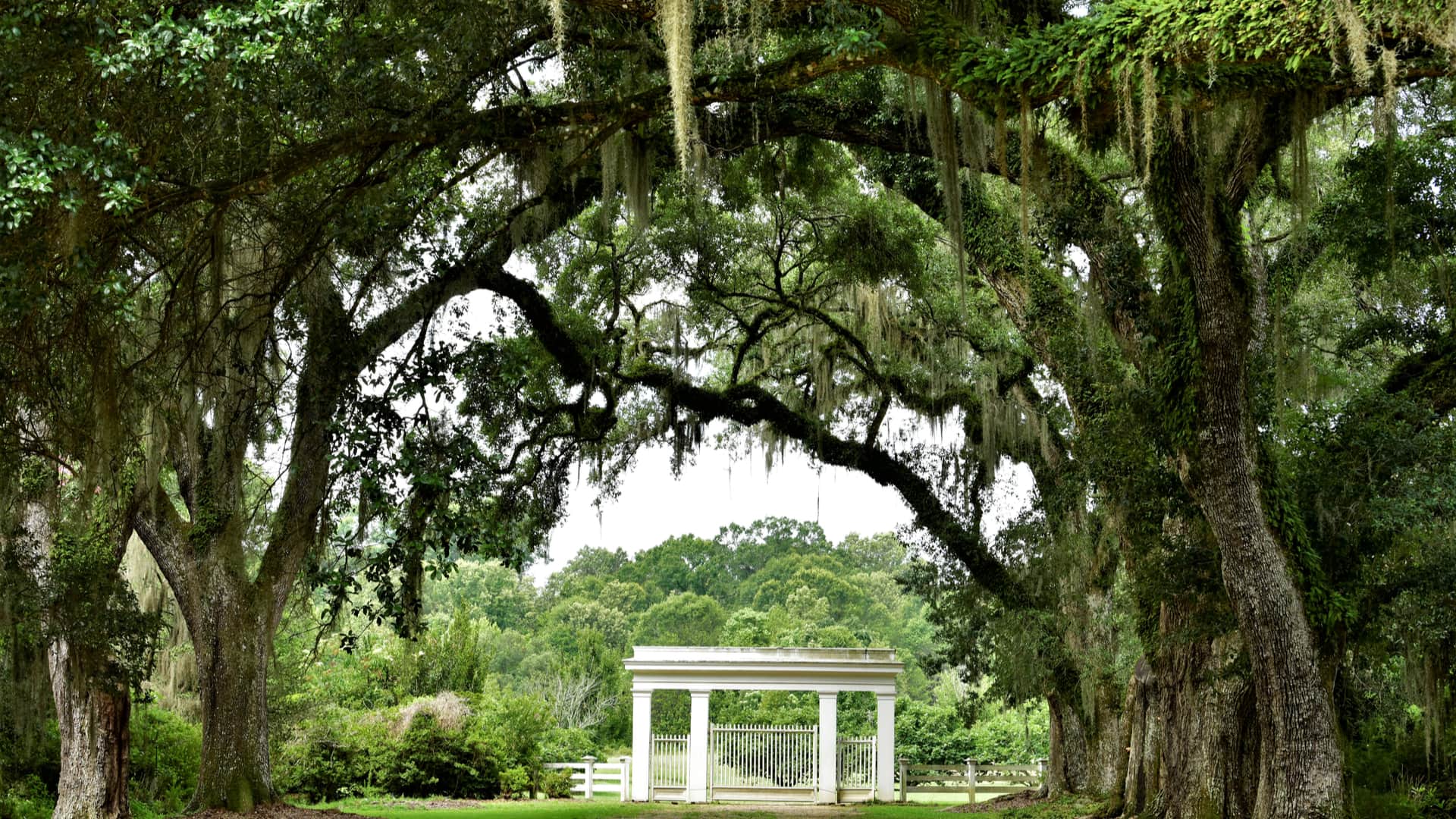 Tunica Hills is Louisiana's Premiere Primitive Paradise