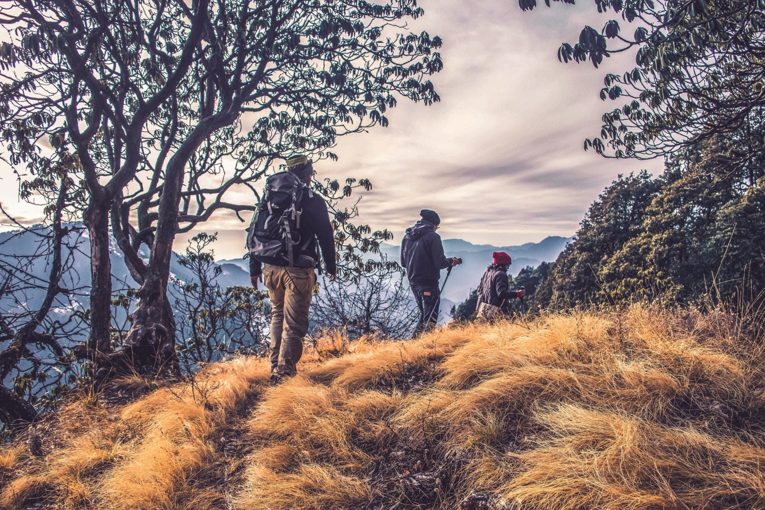 three hikers traverse a grassy hillside to squeeze in wilderness therapy
