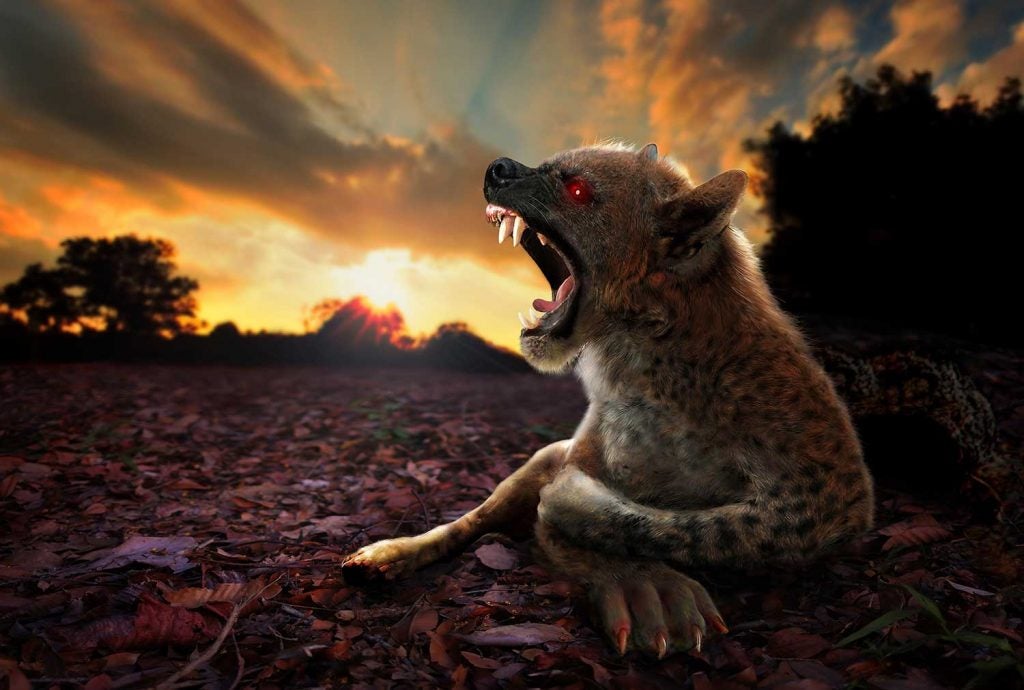 mythical beasts chupacabra howls at sunset