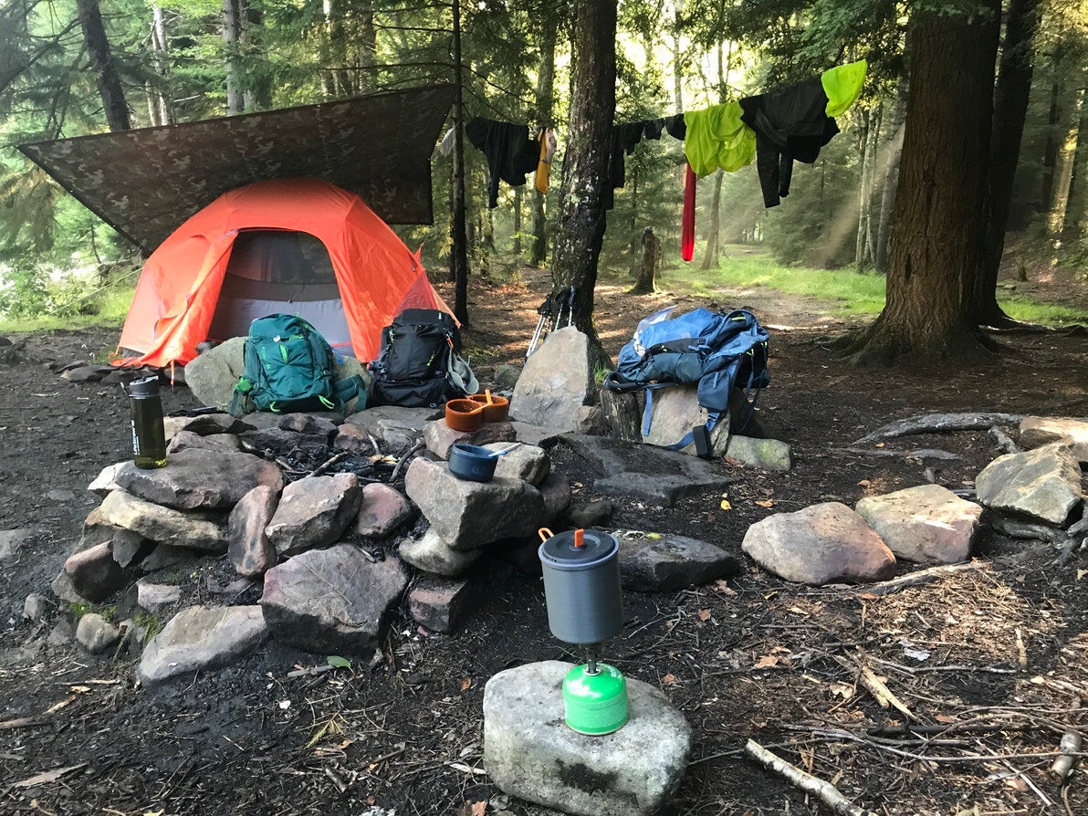 orange tent rests in the middle of a primitive backpacker campsite in dolly sods