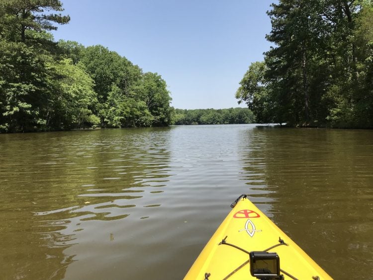 Cane Creek Park Visitor's Tip Guide for Dreamy, Lakefront Vacationing