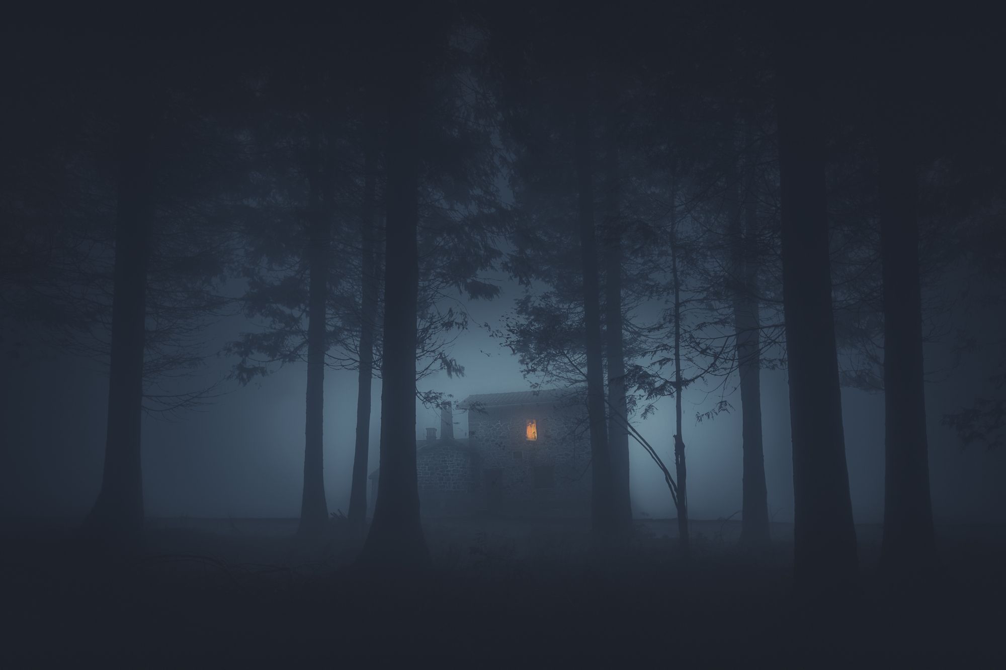 house with illuminated window visible in a spooky foggy forest