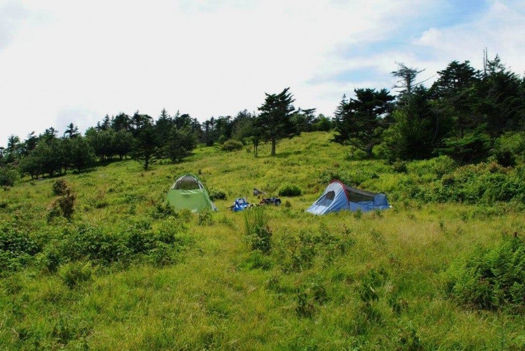 tents form a primitive campground in the Grayson Highlands of Virgina