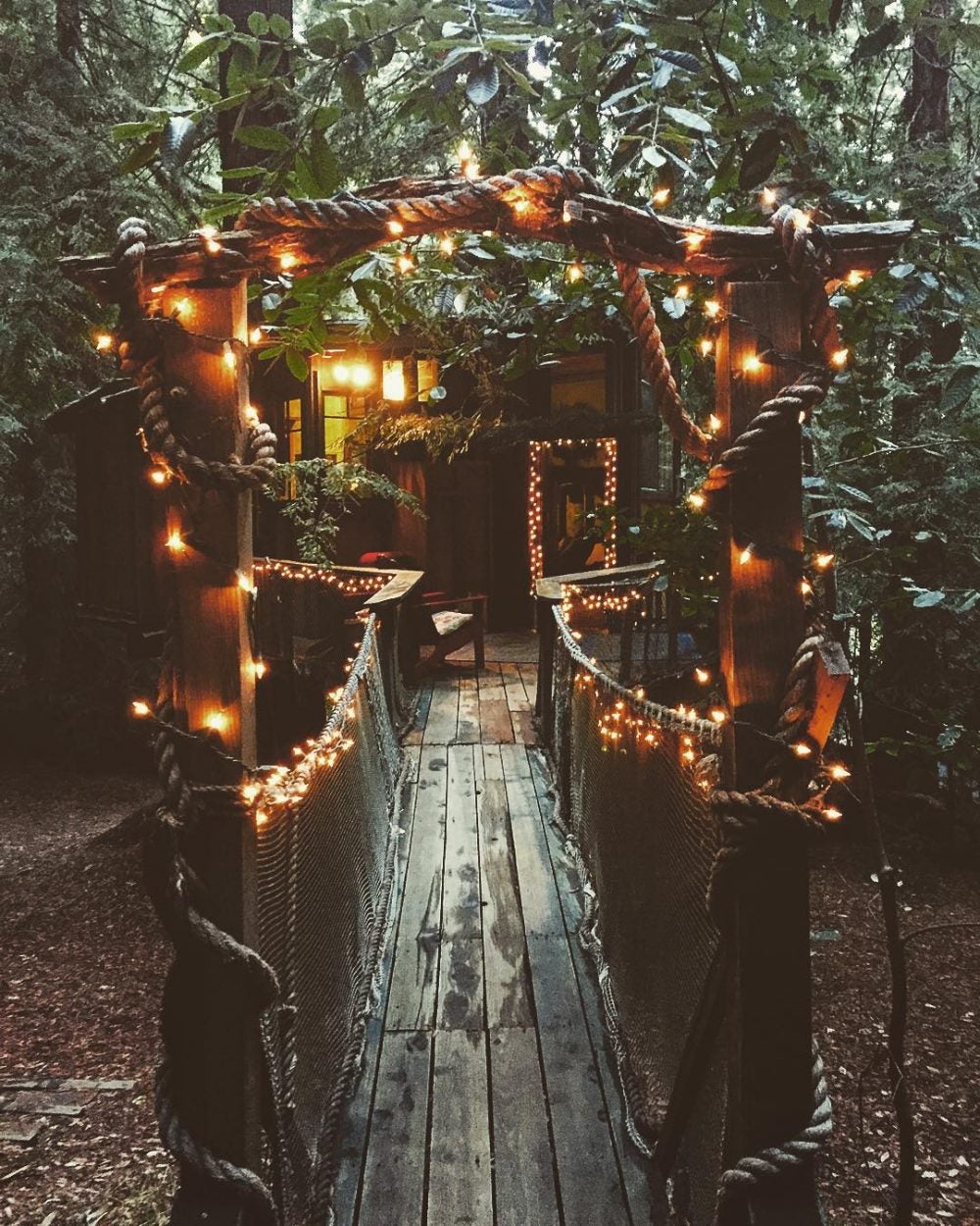 lights strung through trees and over a bridge leading to treehouse