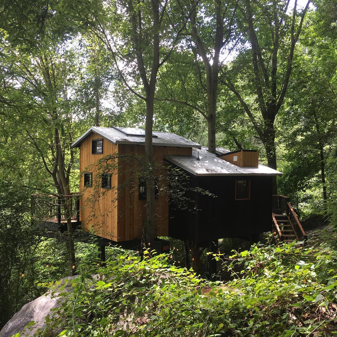 Treehouse camping cabin with a variety of green foliage surrounding cabin 