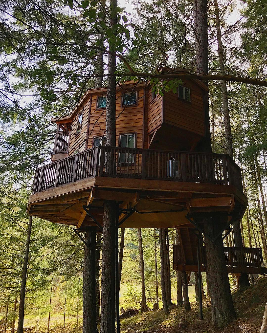 Cabin high in the trees 