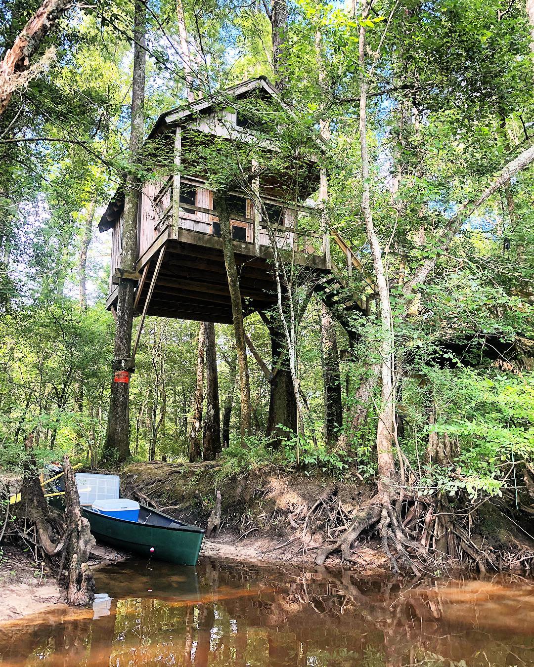 Camping Necessities for a Successful Camping Trip - Poptop Tree House