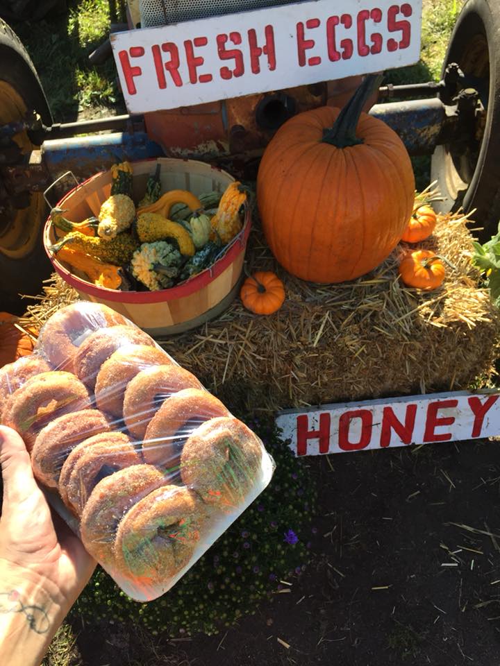 donuts and fall decorations including pumpkins, hay bales, and a basket of squash