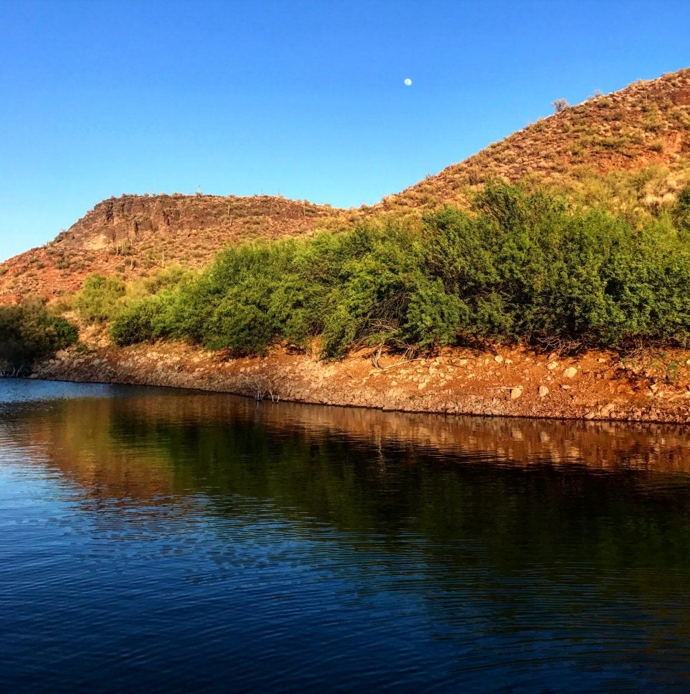 Lake in Arizona with moon in broad daylight and bushes along the water's edge. 