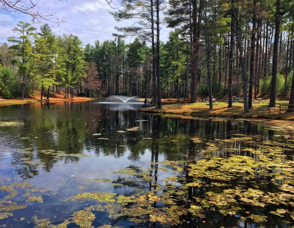 Panoramic image of the fishing pond in Normandy Farms Campground
