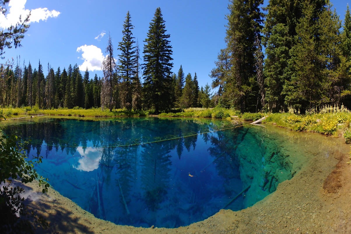 the little crater lake in southern oregon surrounded by douglas fir trees