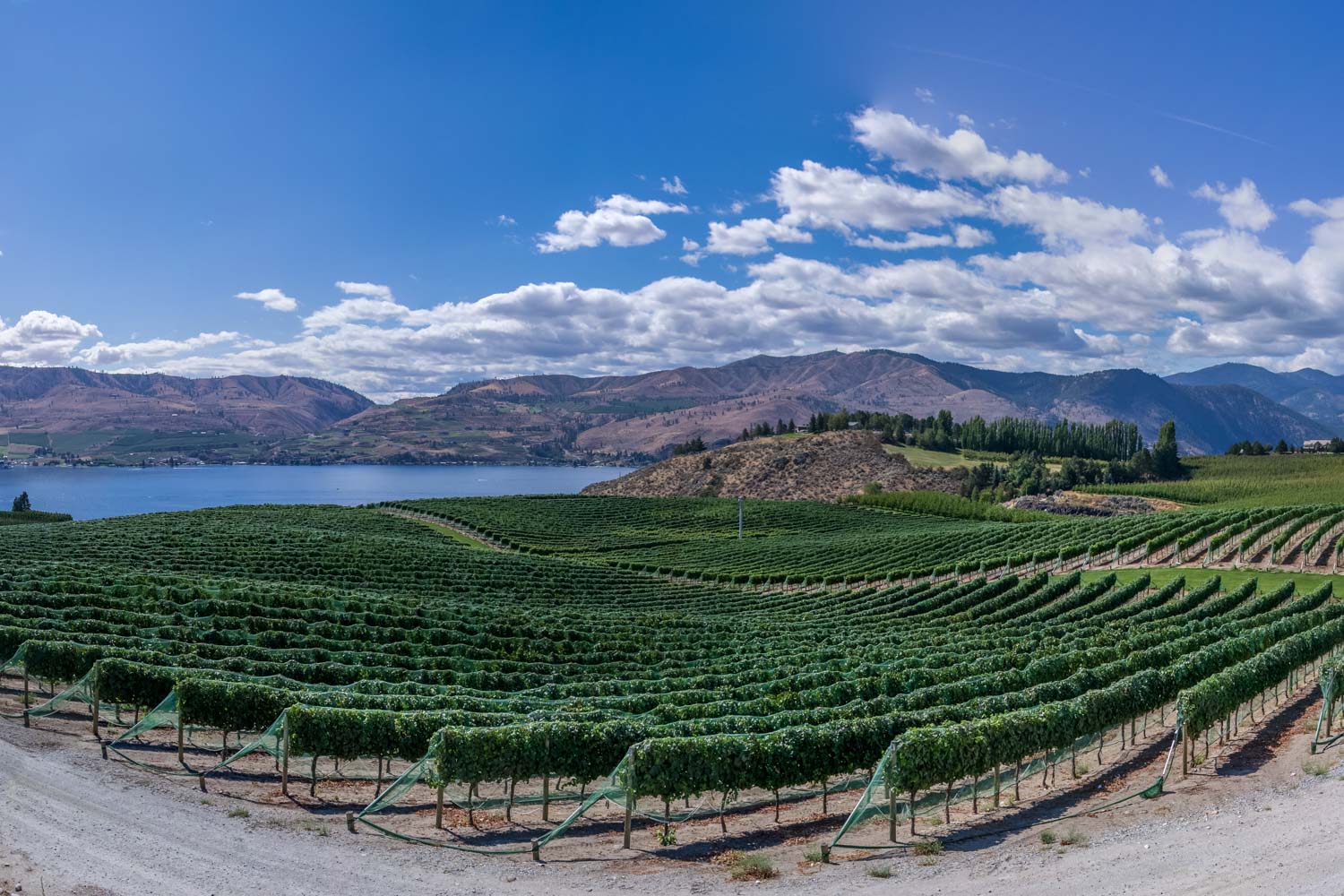 Winery beside lake and mountains.