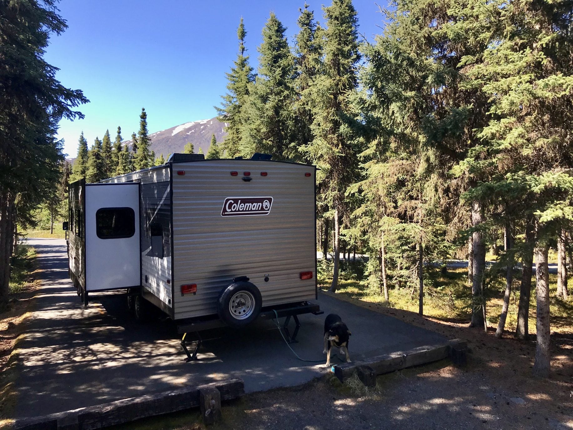 Russian River Camping 5 Reasons Why You Must Camp in the Kenai
