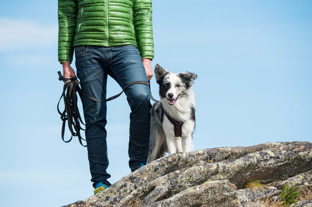 hiker in green jacket stands atop rock with leashed dog beside them