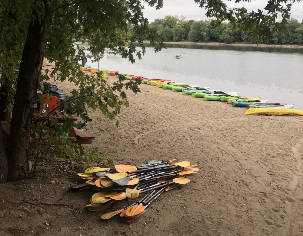 Kayak paddles on the sand in foreground, kayaks line the shore in background