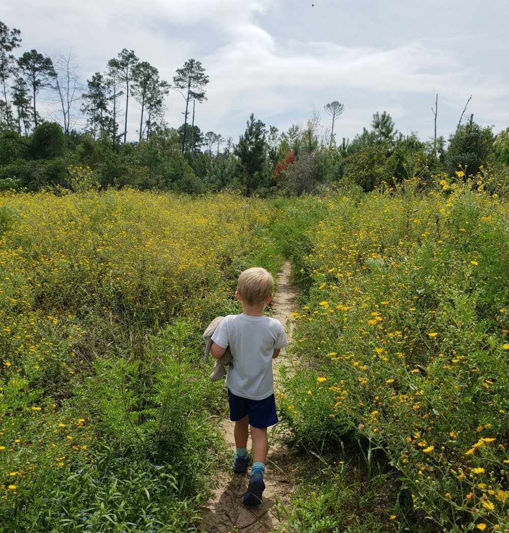 young boy facing away from camera as he walks path through bastrop field