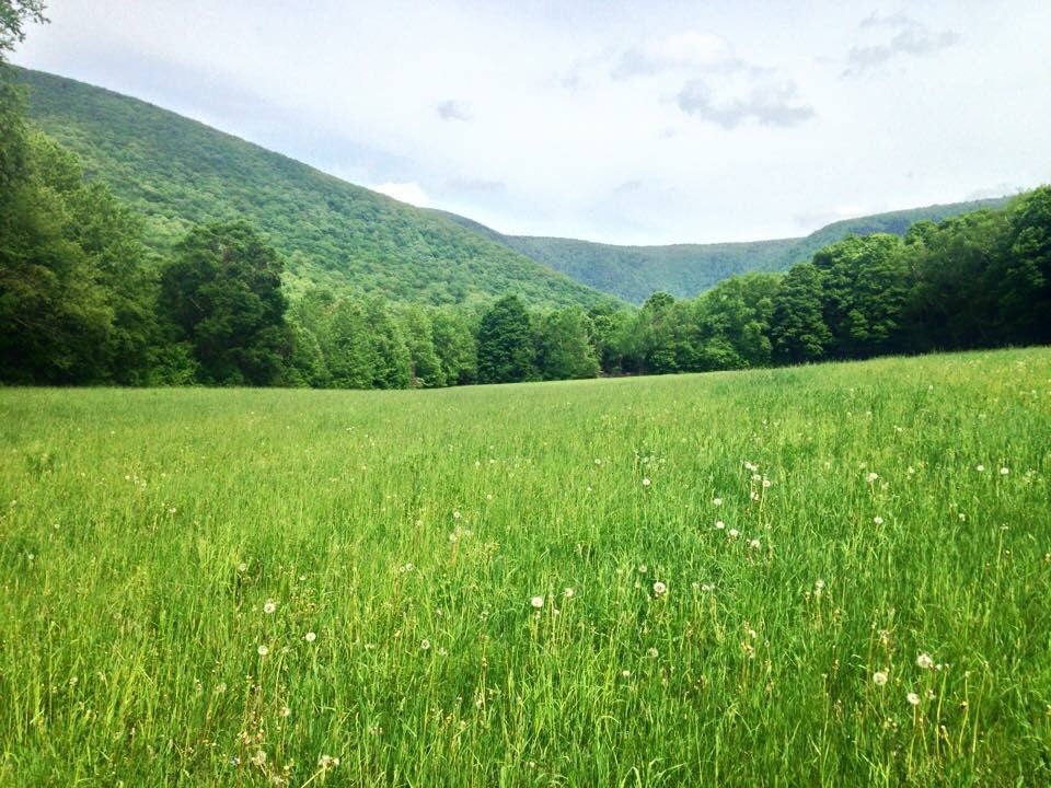 Green rolling hills and a meadow in Massachusetts
