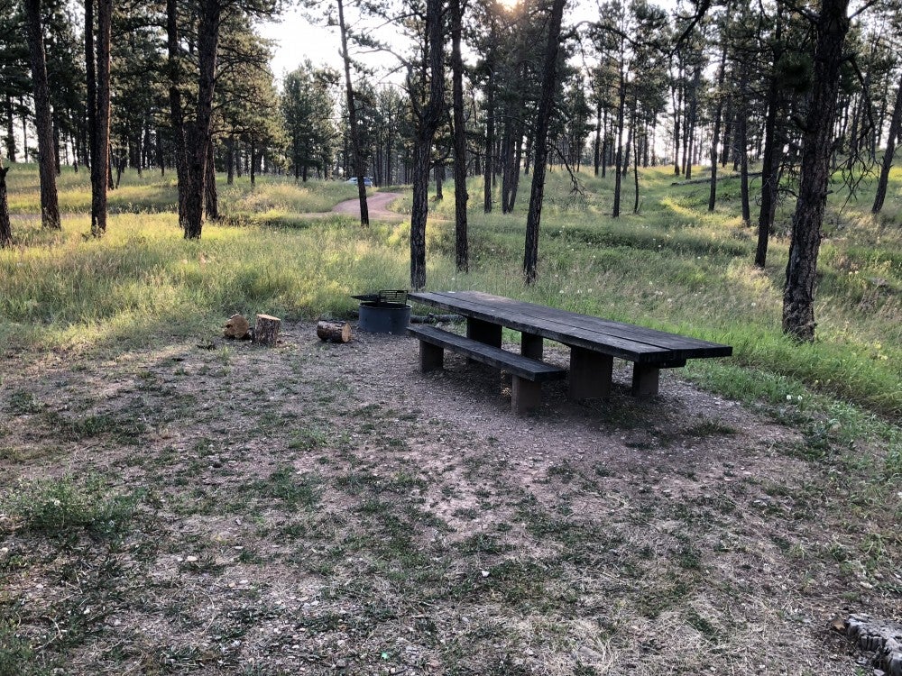 empty picnic table beside fire ring in remote wooded campsite