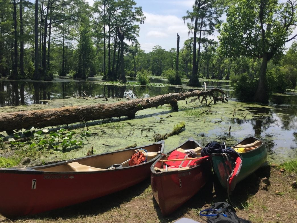 Best 7 PaddleIn Campgrounds for Canoeing or Kayaking in NC